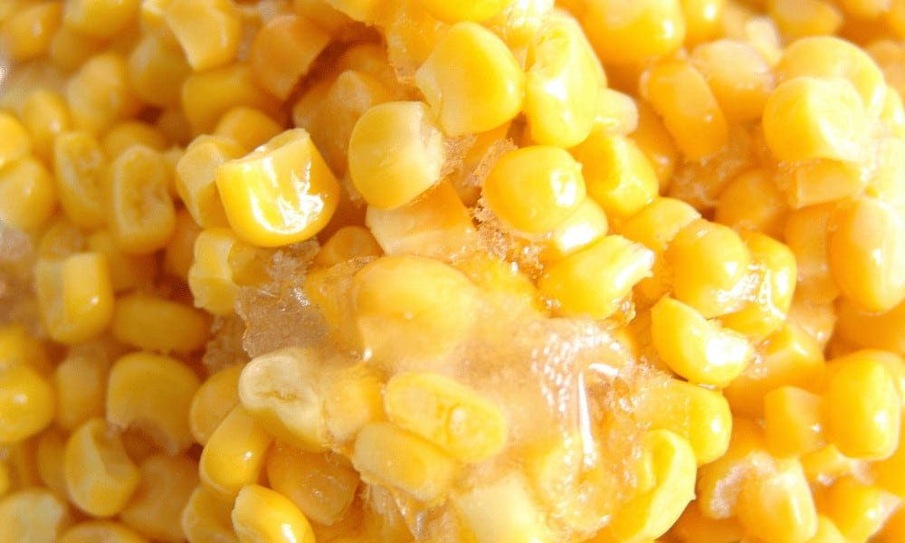 Frozen Sweetcorn