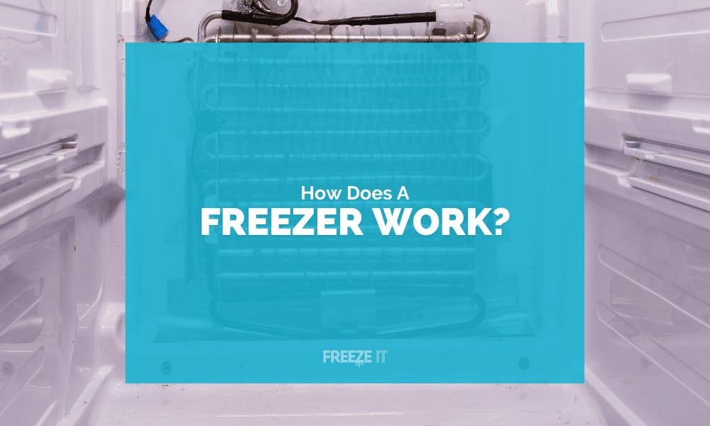 How Does a Freezer Work