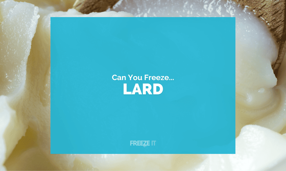 Can You Freeze Lard