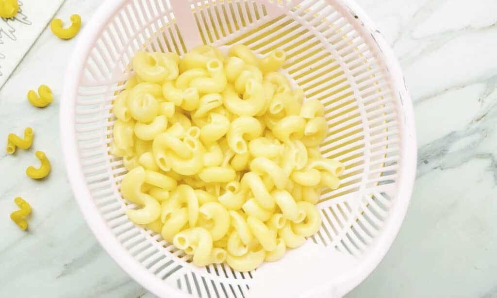 Cooked macaroni drying and cooling in a white colander