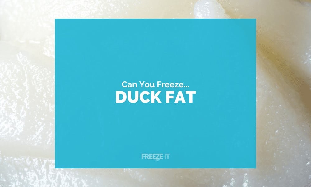 Can You Freeze Duck Fat