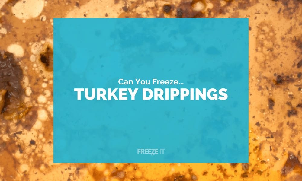 Can You Freeze Turkey Drippings