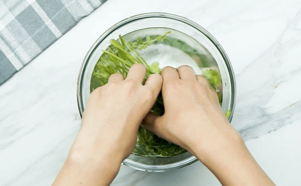 Fresh coriander leaves and stalks being cleaned by a woman's hands in a glass bowl filled with water