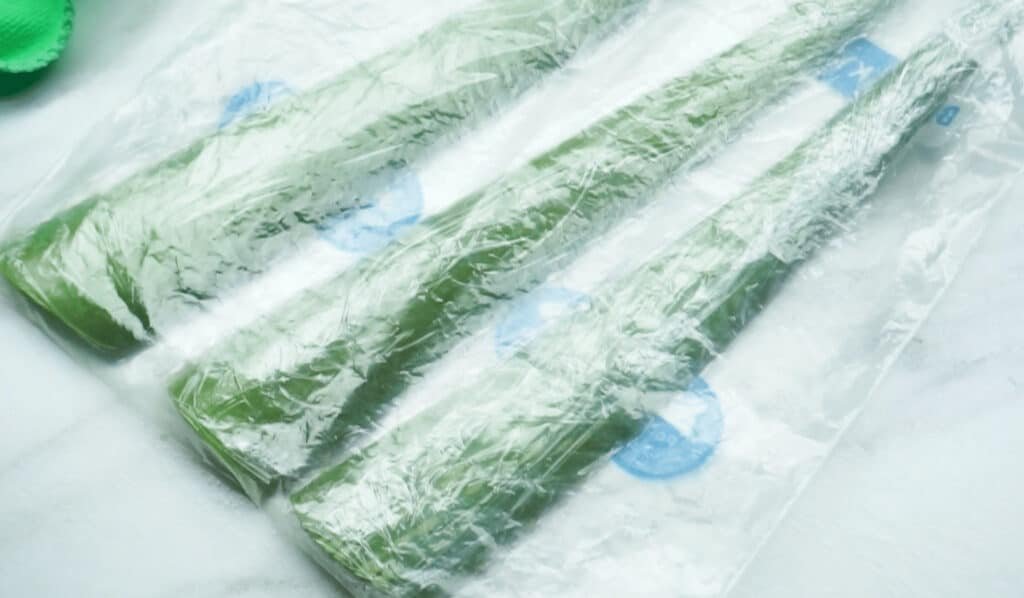 3 leaves of aloe vera laying flat inside a clear freezer bag