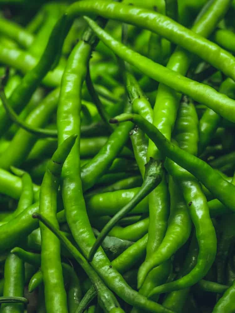 Long green chillies in a pile taking up the entire photo