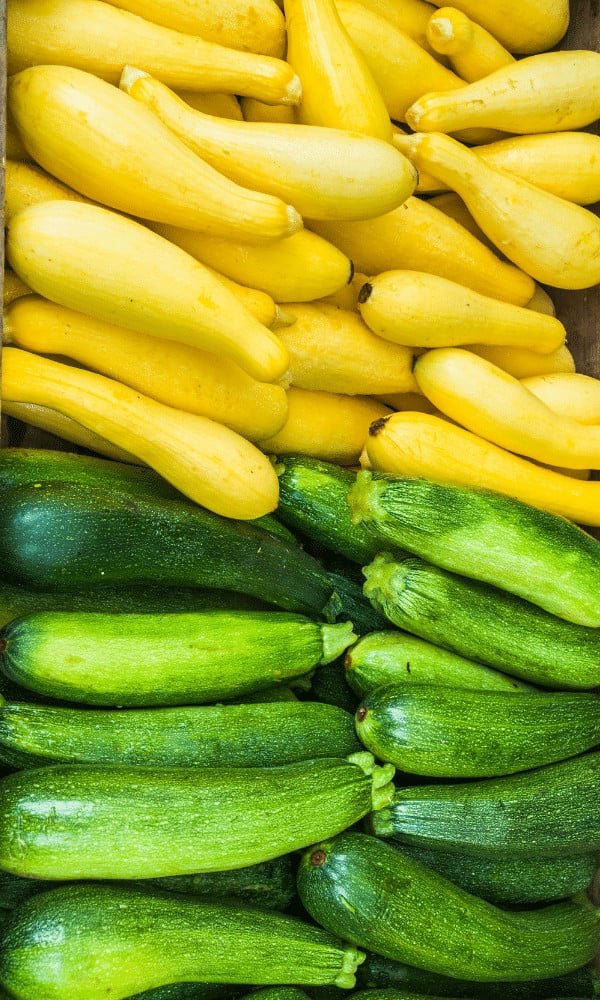 Summer Squash