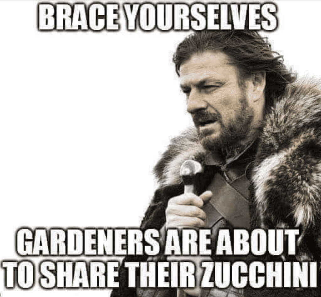 So many zucchinis meme